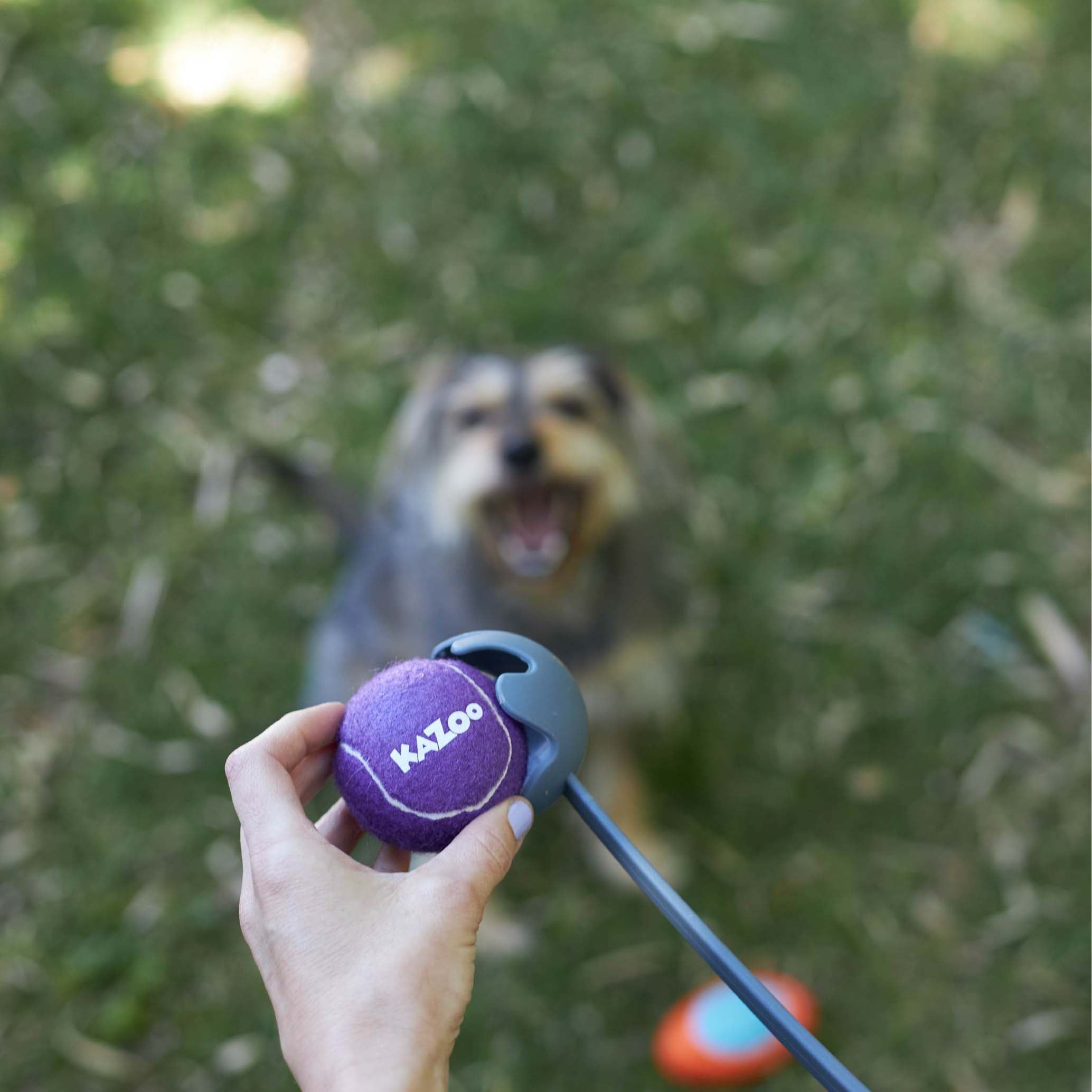 Kazoo EcoFriendly Ball Thrower