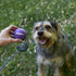 Kazoo EcoFriendly Ball Thrower