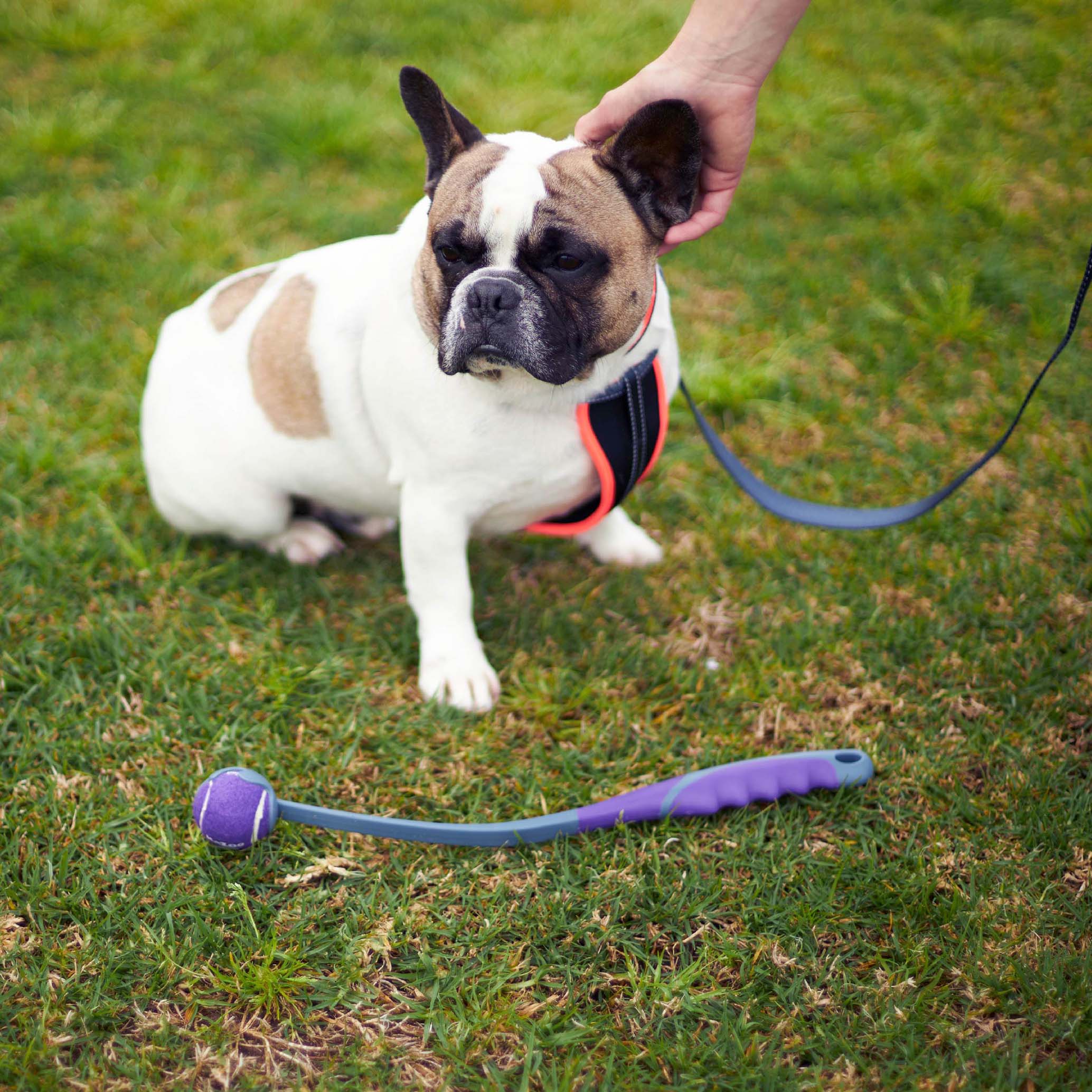 Kazoo EcoFriendly Ball Thrower