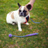 Kazoo EcoFriendly Ball Thrower