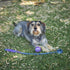 Kazoo EcoFriendly Ball Thrower
