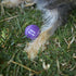 Kazoo EcoFriendly Ball Thrower