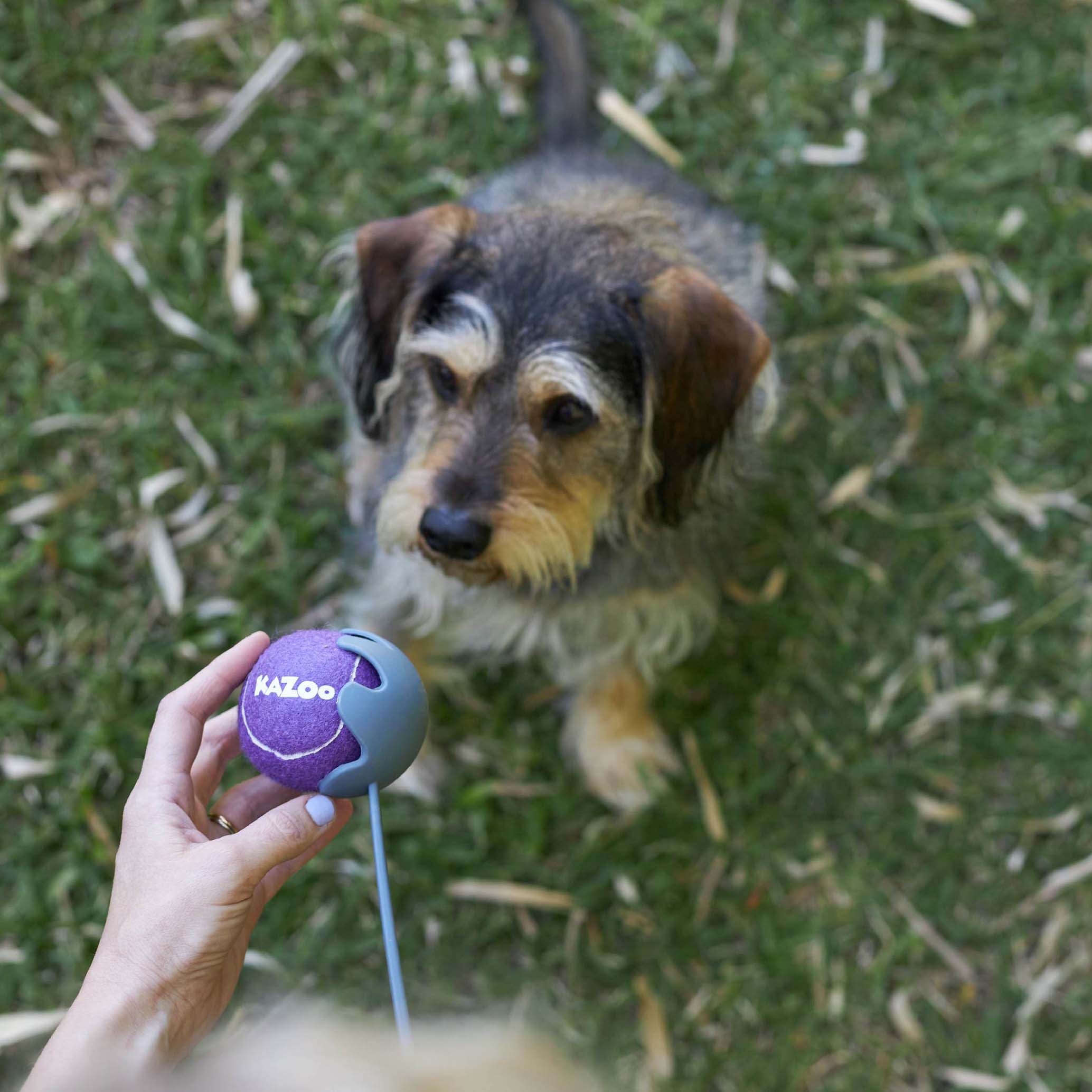 Kazoo EcoFriendly Ball Thrower