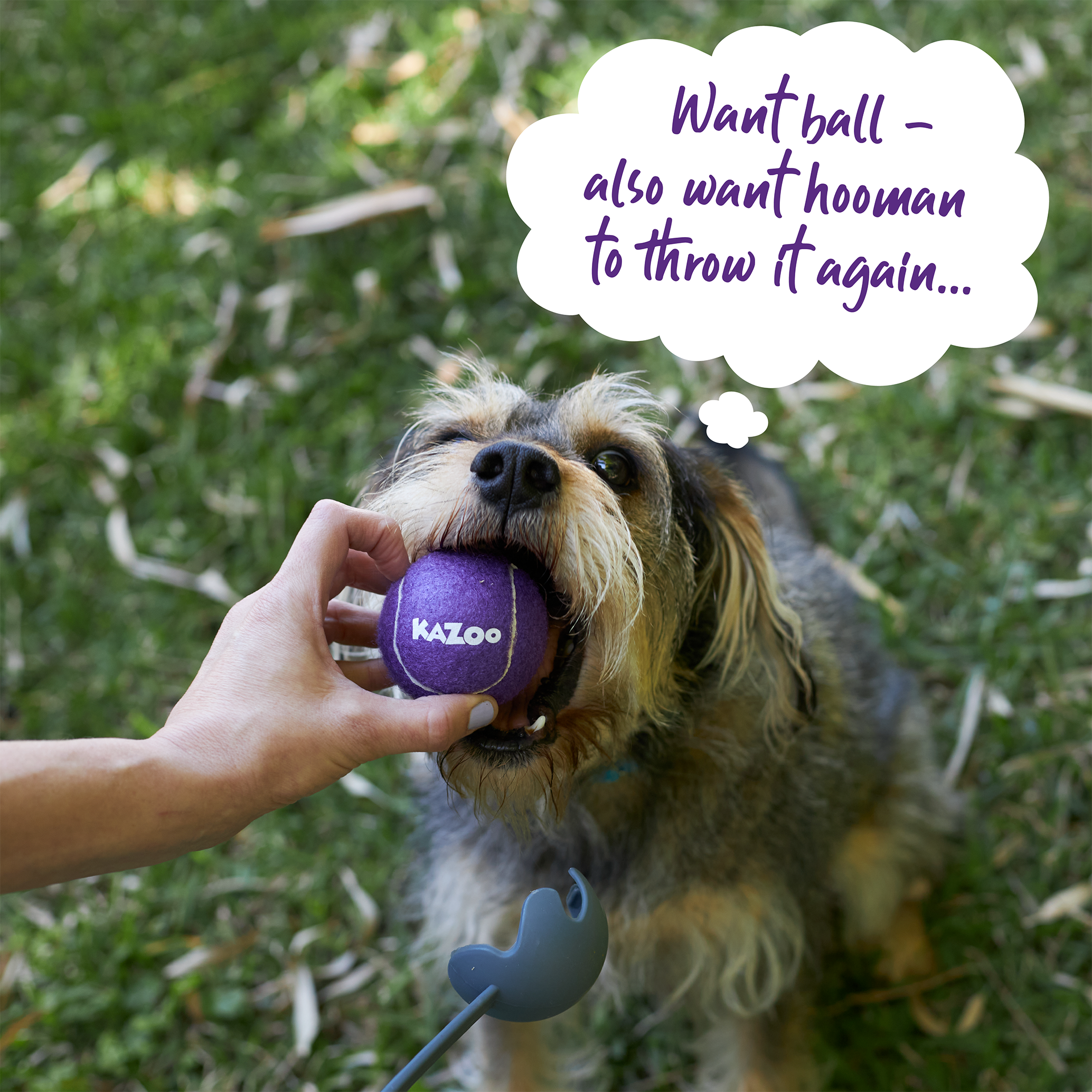 Kazoo EcoFriendly Ball Thrower