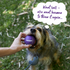 Kazoo EcoFriendly Ball Thrower