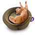 Kazoo Kitty Accordion Cardboard Bed w/Ball
