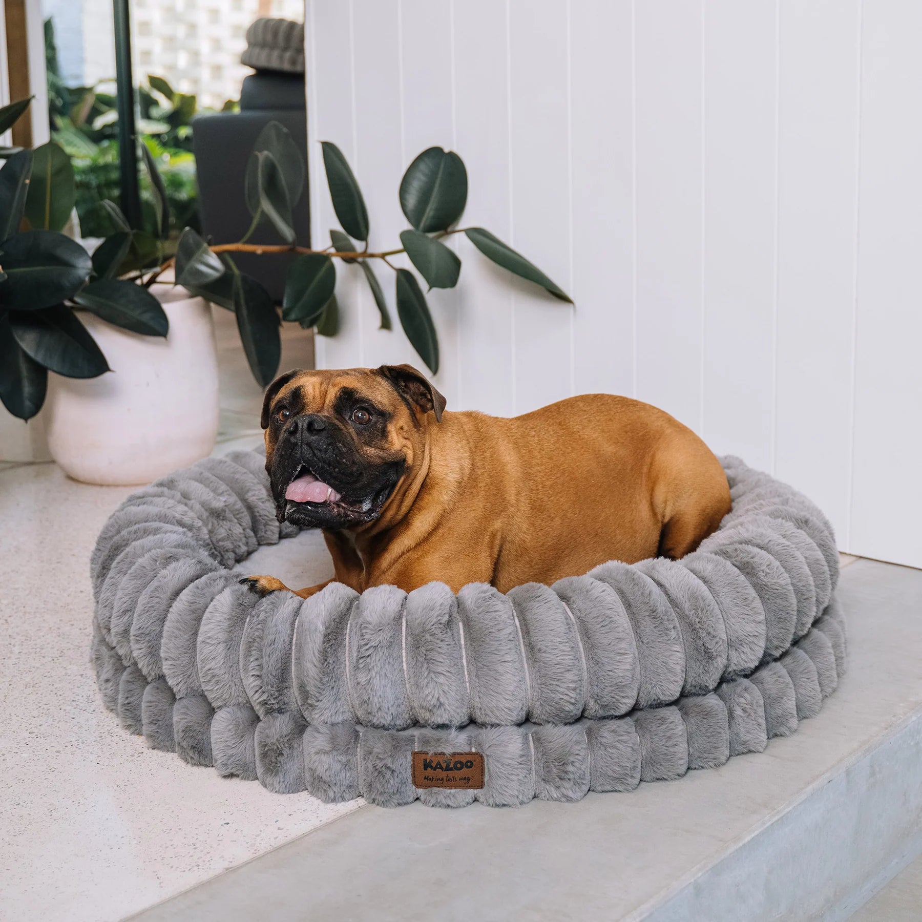 Donut Snuggle Bed