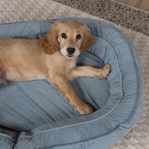 Loop Neck Support Bed