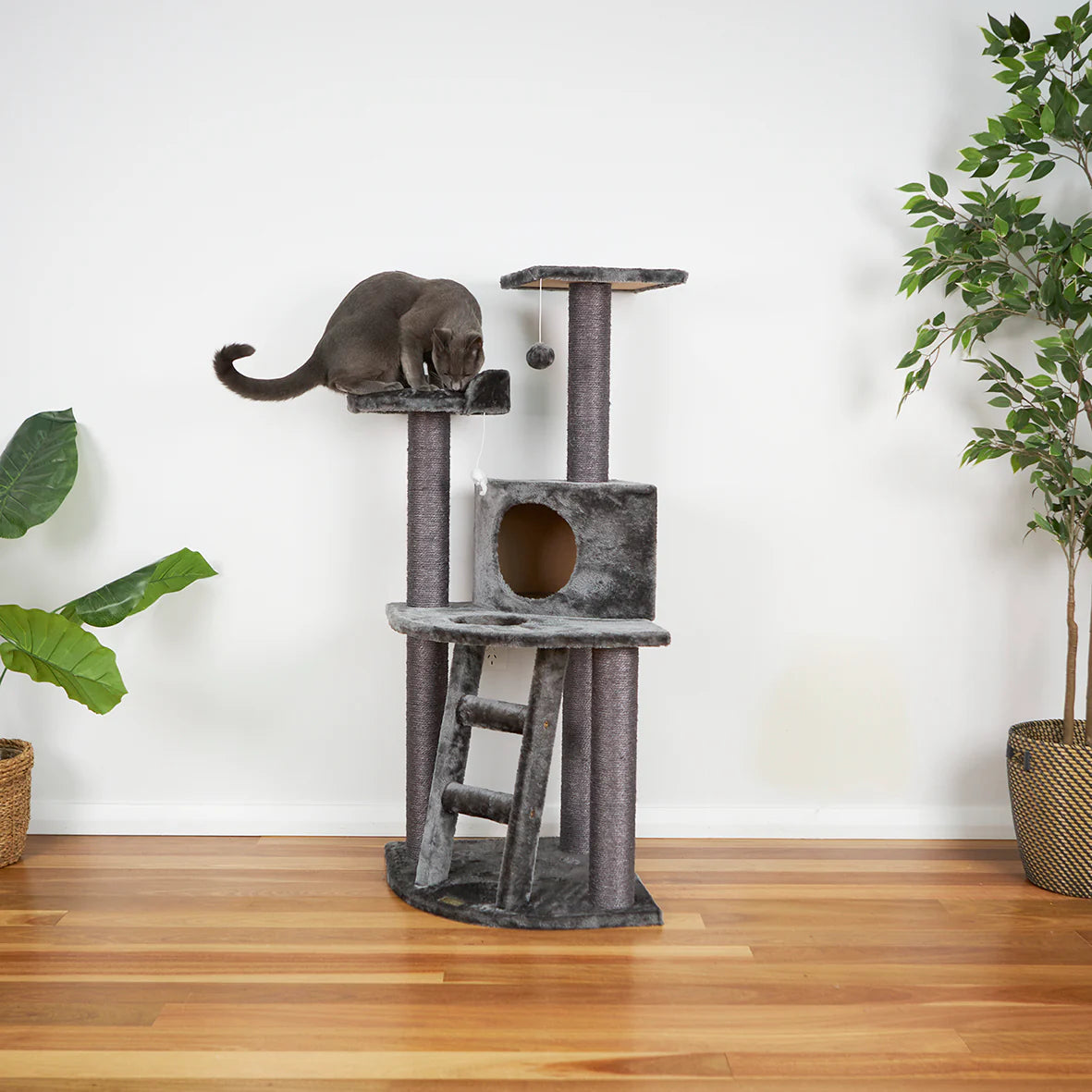 Scratcher 3 Level Playground