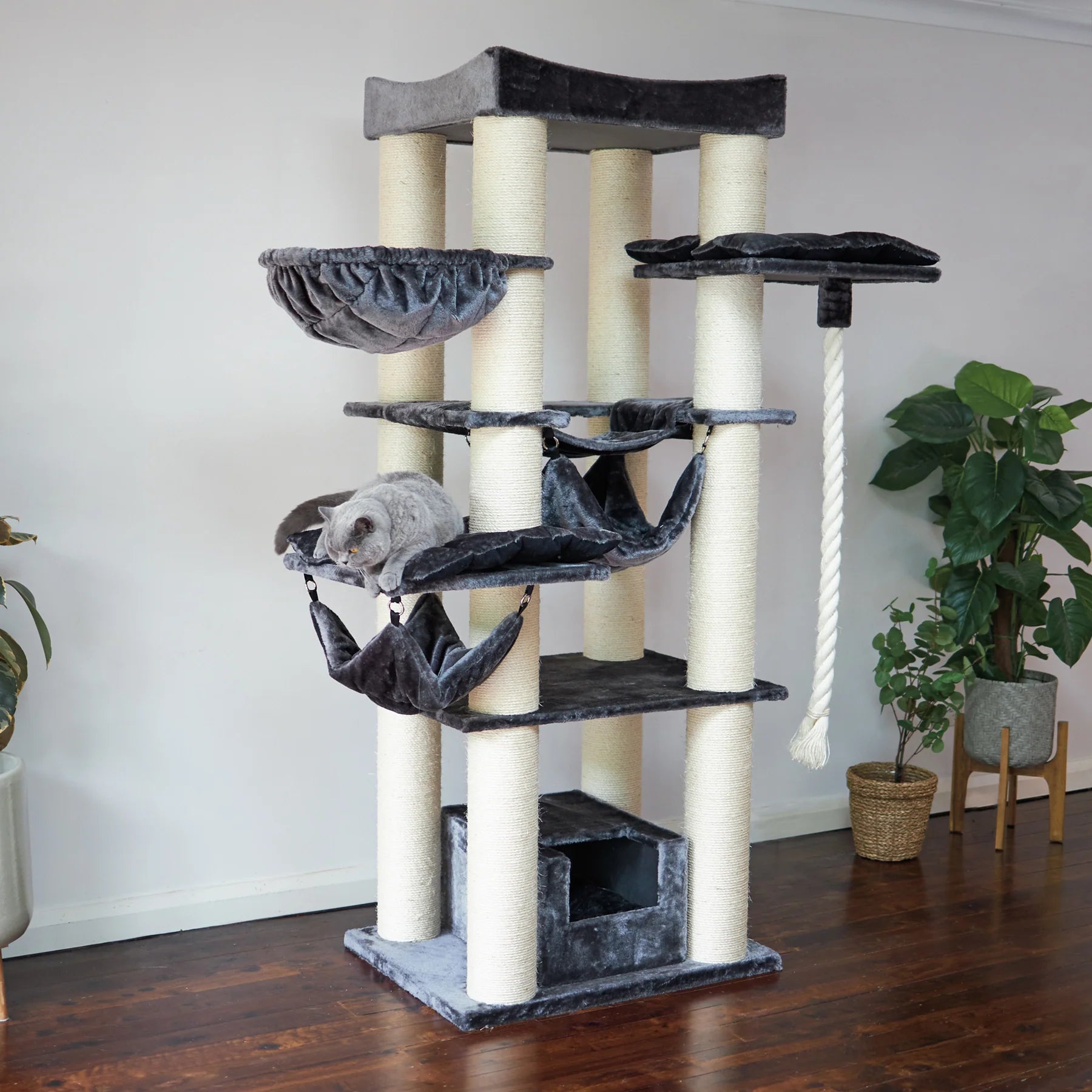 Scratcher Kitty Tower Playground