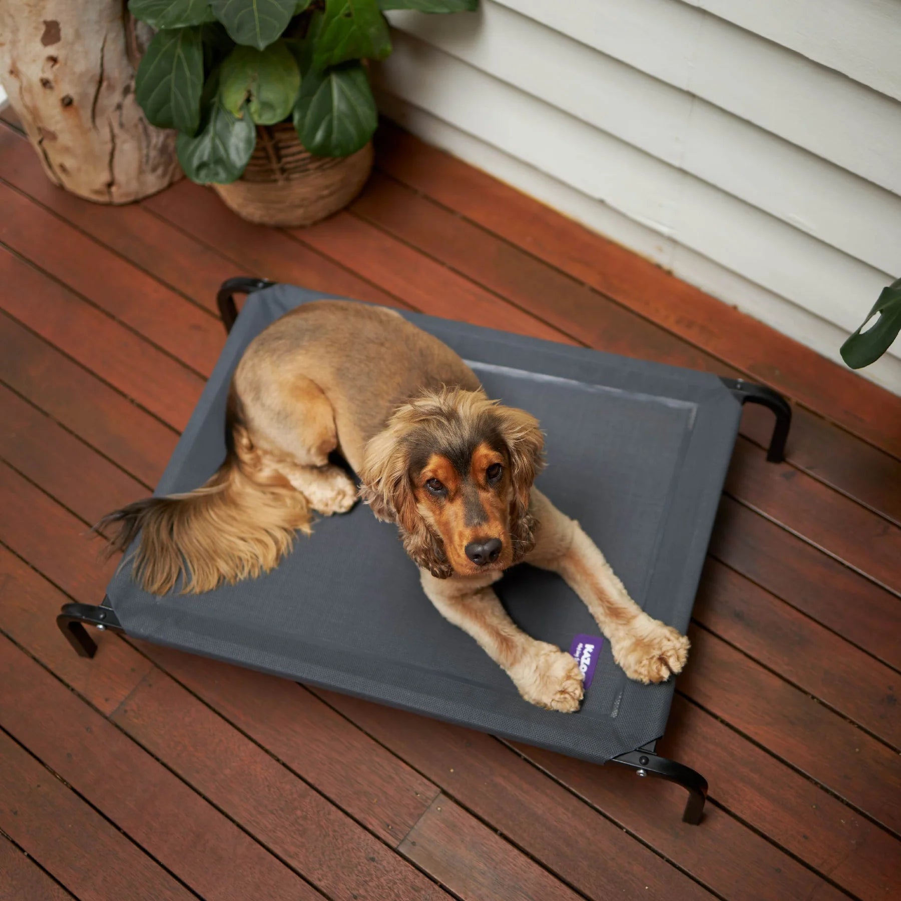 Premium Outdoor Bed R/Cover-Charcoal M