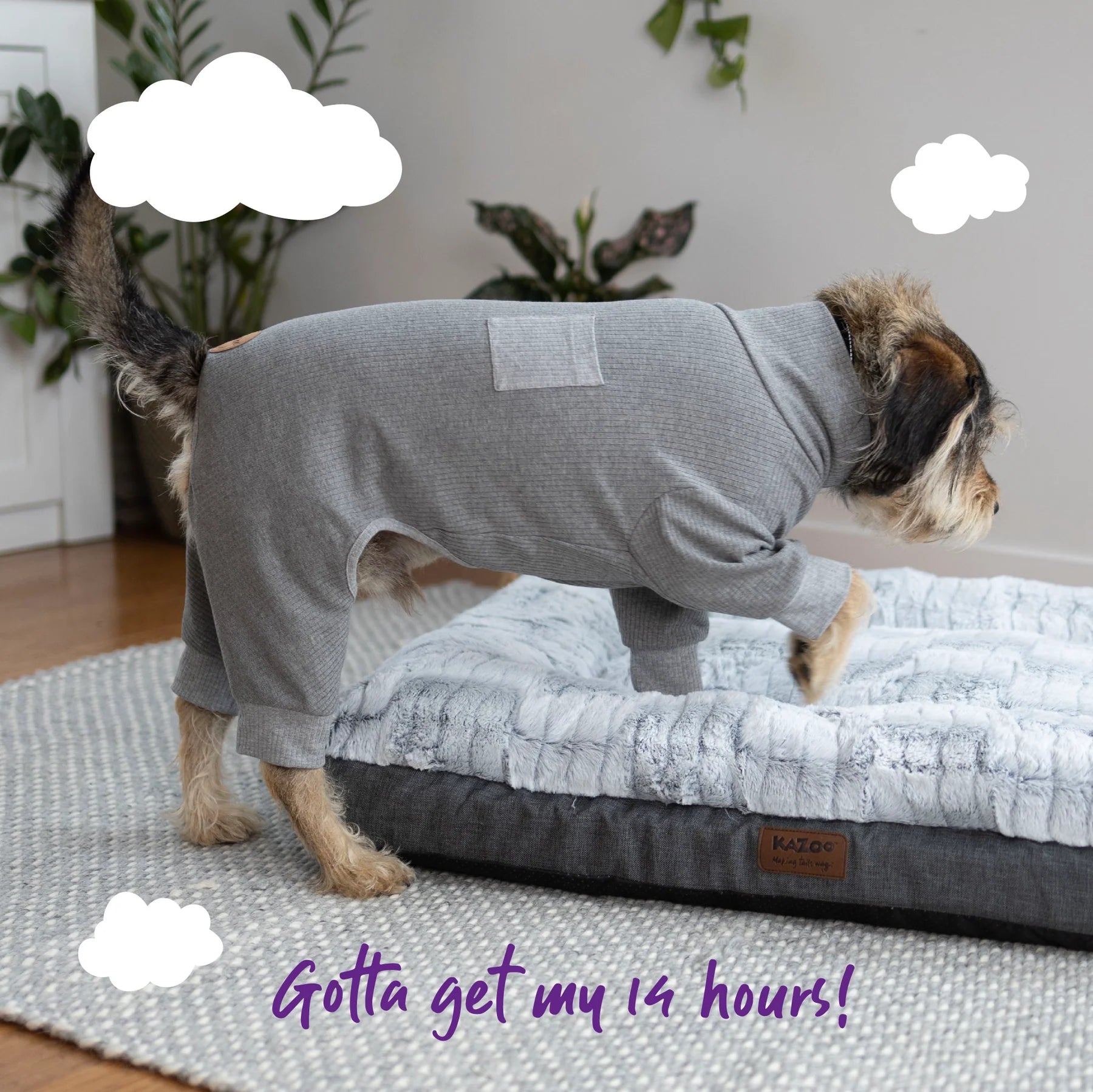 Kazoo Pooch Pajamas Grey