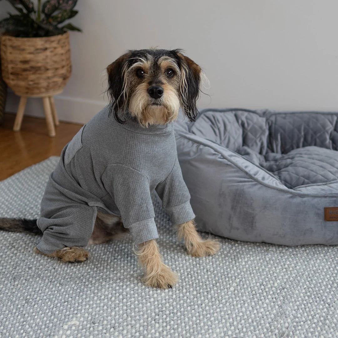 Kazoo Pooch Pajamas Grey