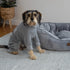 Kazoo Pooch Pajamas Grey