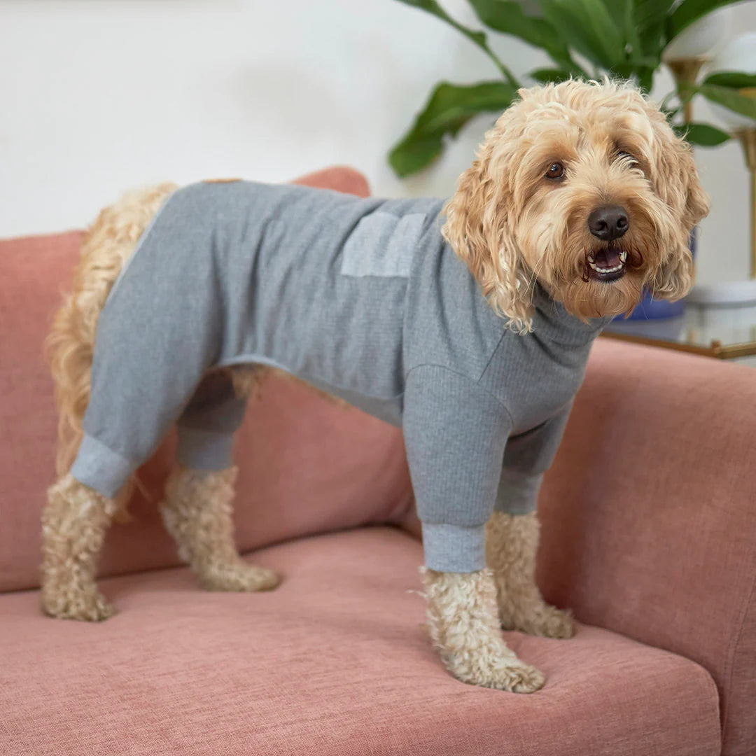 Kazoo Pooch Pajamas Grey