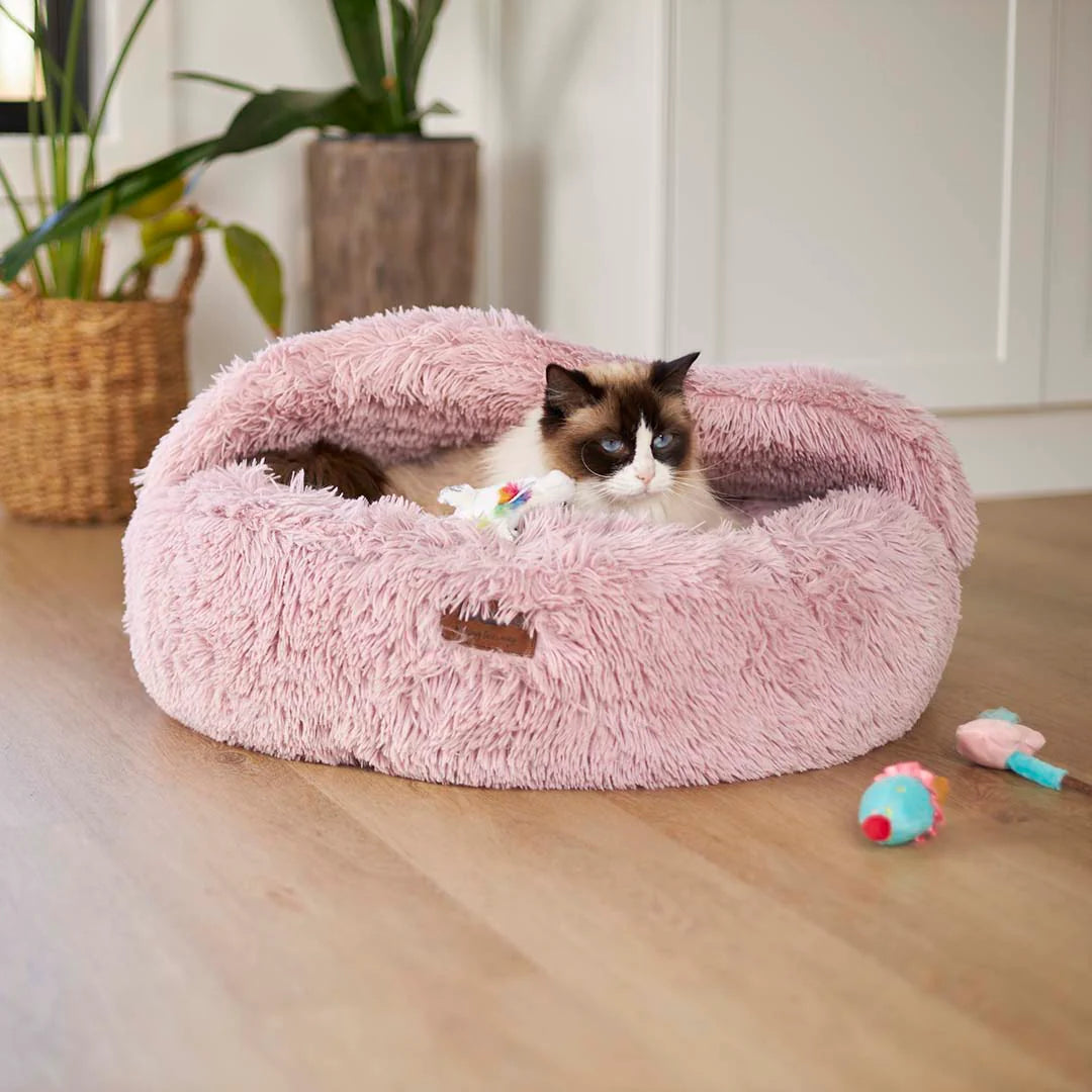 Kazoo Hideout Cat Bed