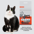 Squat Club Deep Clean Eco Charcoal Litter