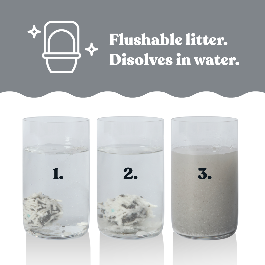 Squat Club Deep Clean Eco Charcoal Litter