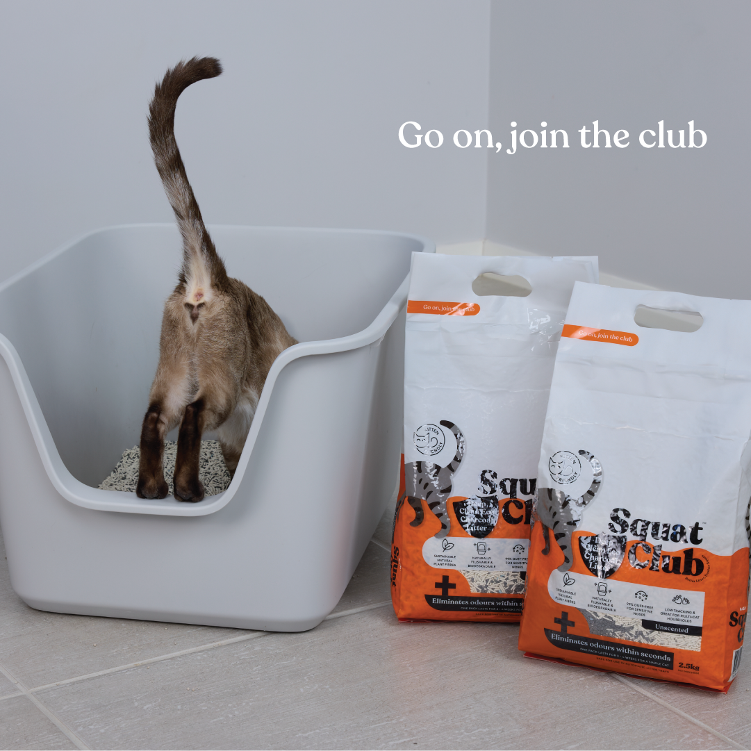 Squat Club Deep Clean Eco Charcoal Litter