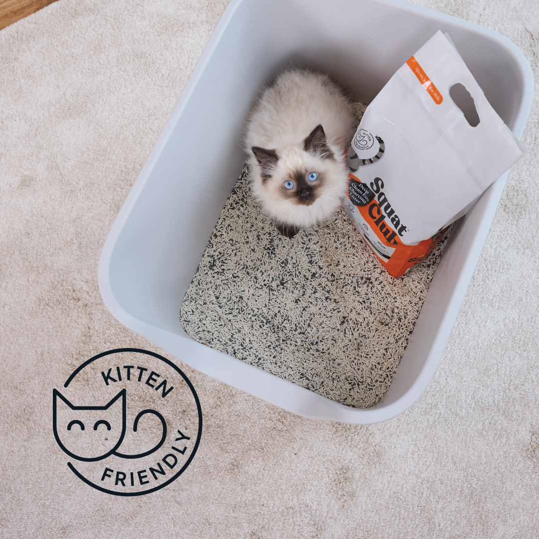 Squat Club Deep Clean Eco Charcoal Litter