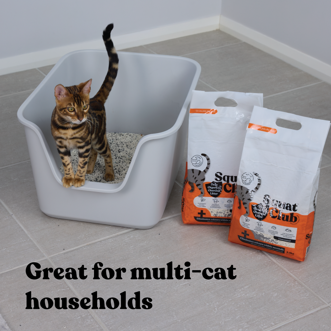 Squat Club Deep Clean Eco Charcoal Litter