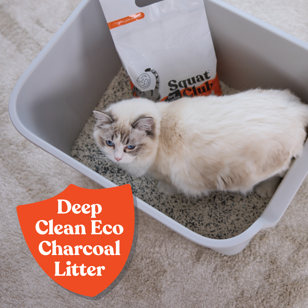 Squat Club Deep Clean Eco Charcoal Litter