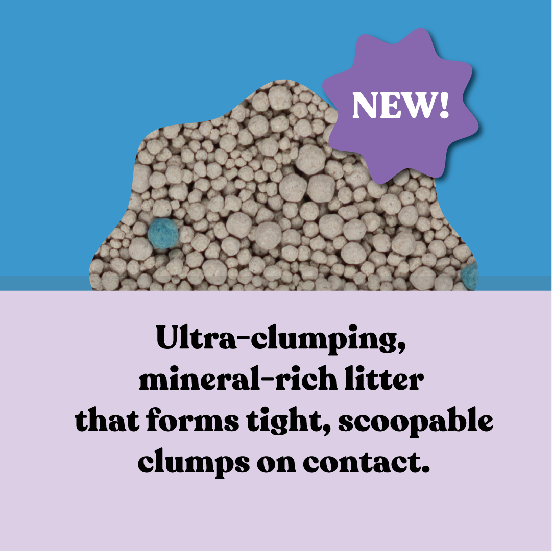 Squat Club Fast Clumping Clay Litter Lavender