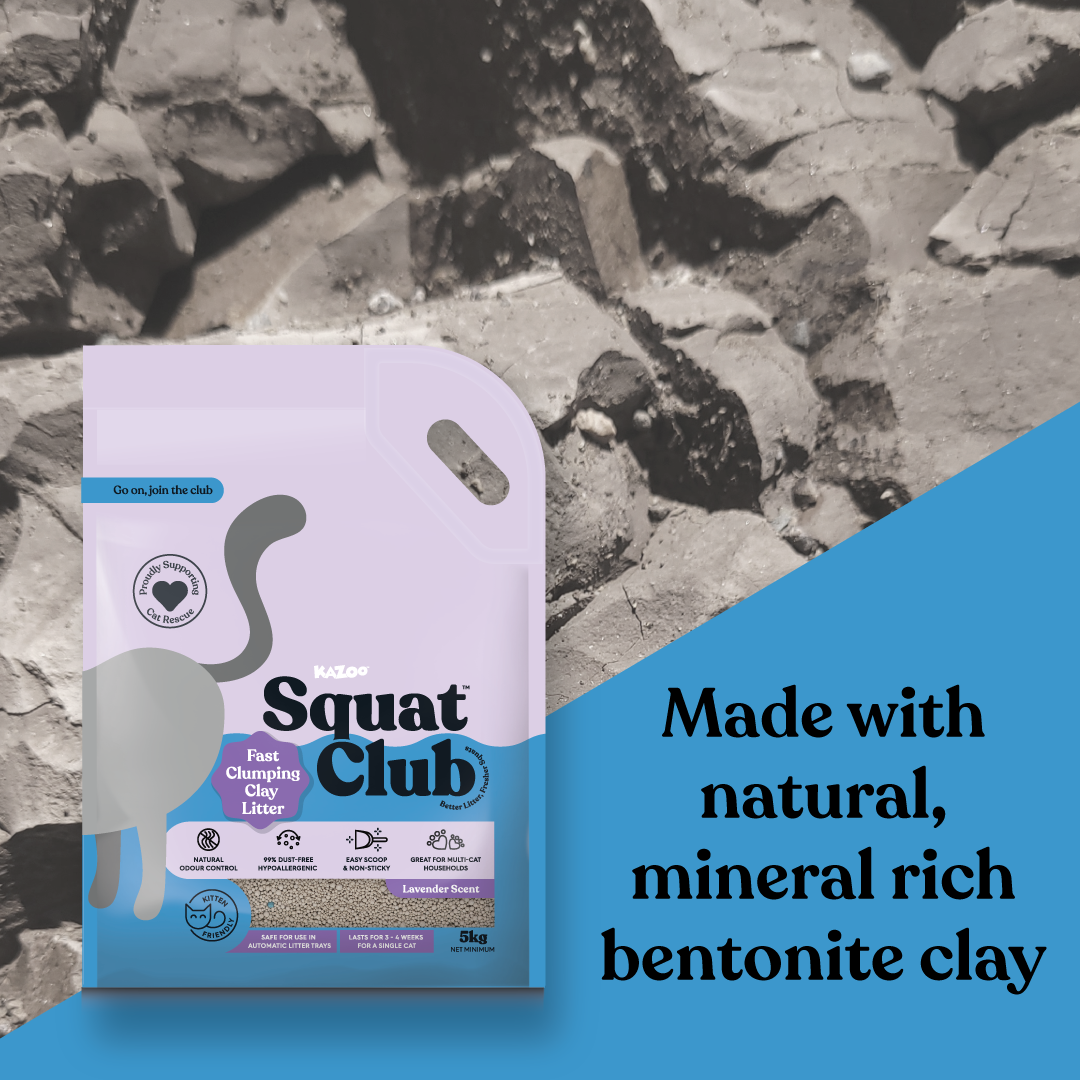 Squat Club Fast Clumping Clay Litter Lavender