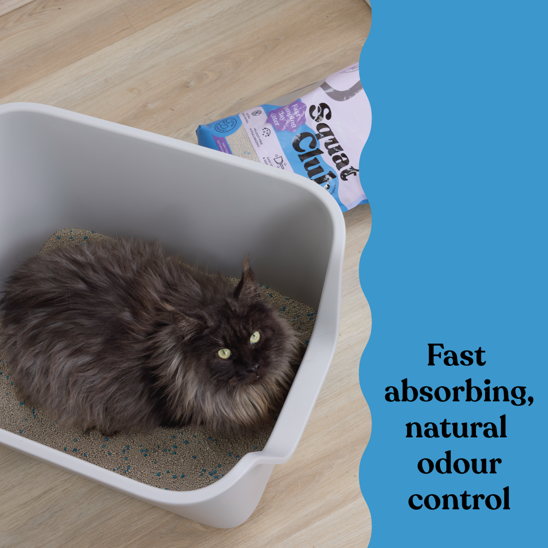 Squat Club Fast Clumping Clay Litter Lavender