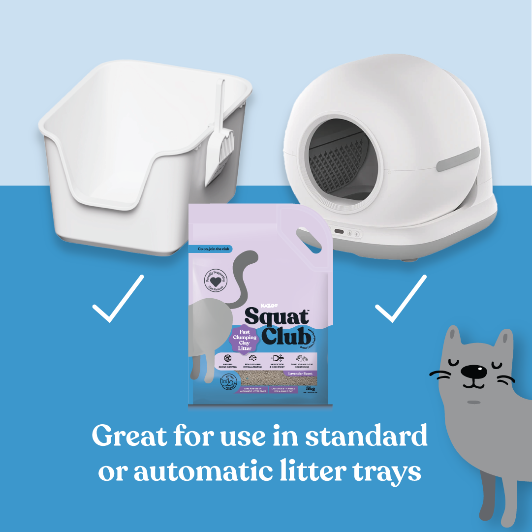 Squat Club Fast Clumping Clay Litter Lavender