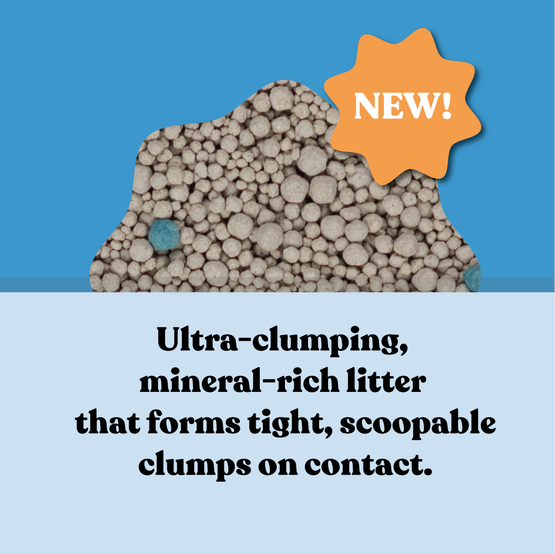 Squat Club Fast Clumping Clay Litter