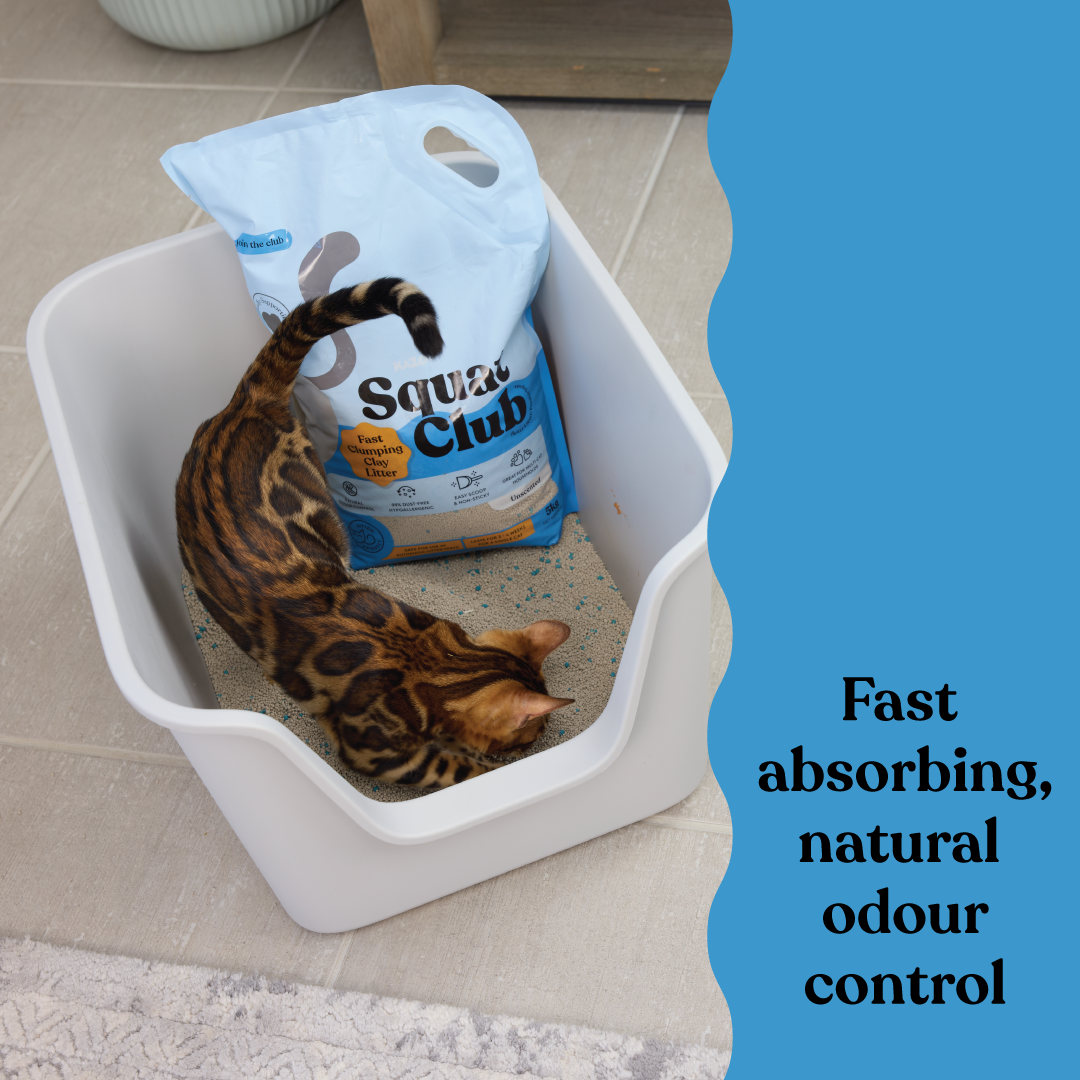 Squat Club Fast Clumping Clay Litter