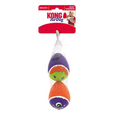 Halloween Kong Airdog Squaker Egg 2pk M