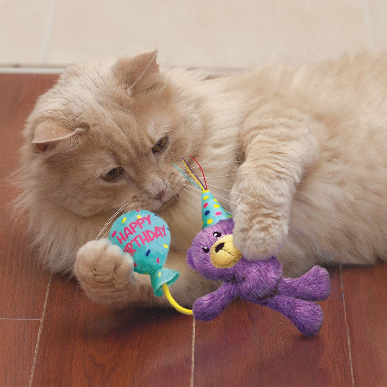 Kong Cat Toy Birthday Teddy
