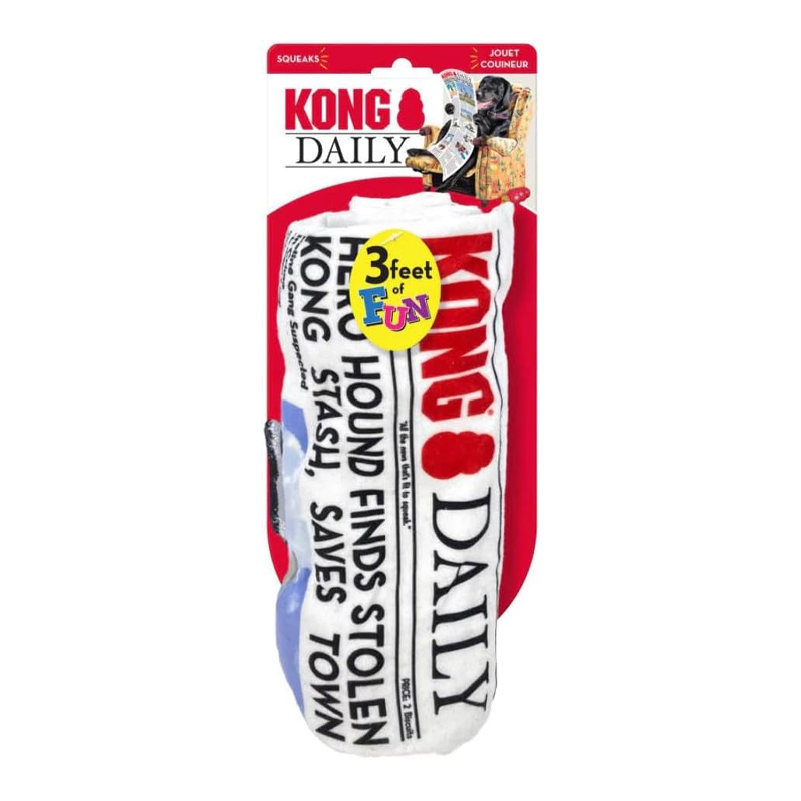 Kong Newspaper