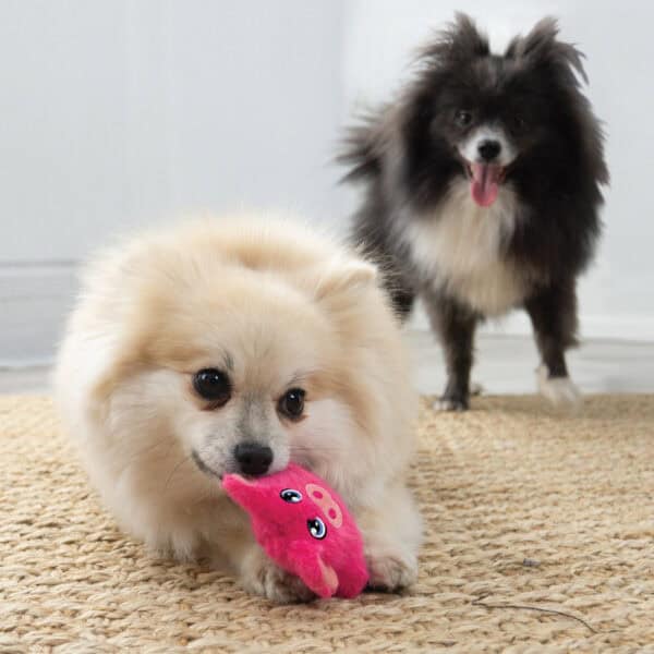 Kong Snuzzles Mini Pig XS