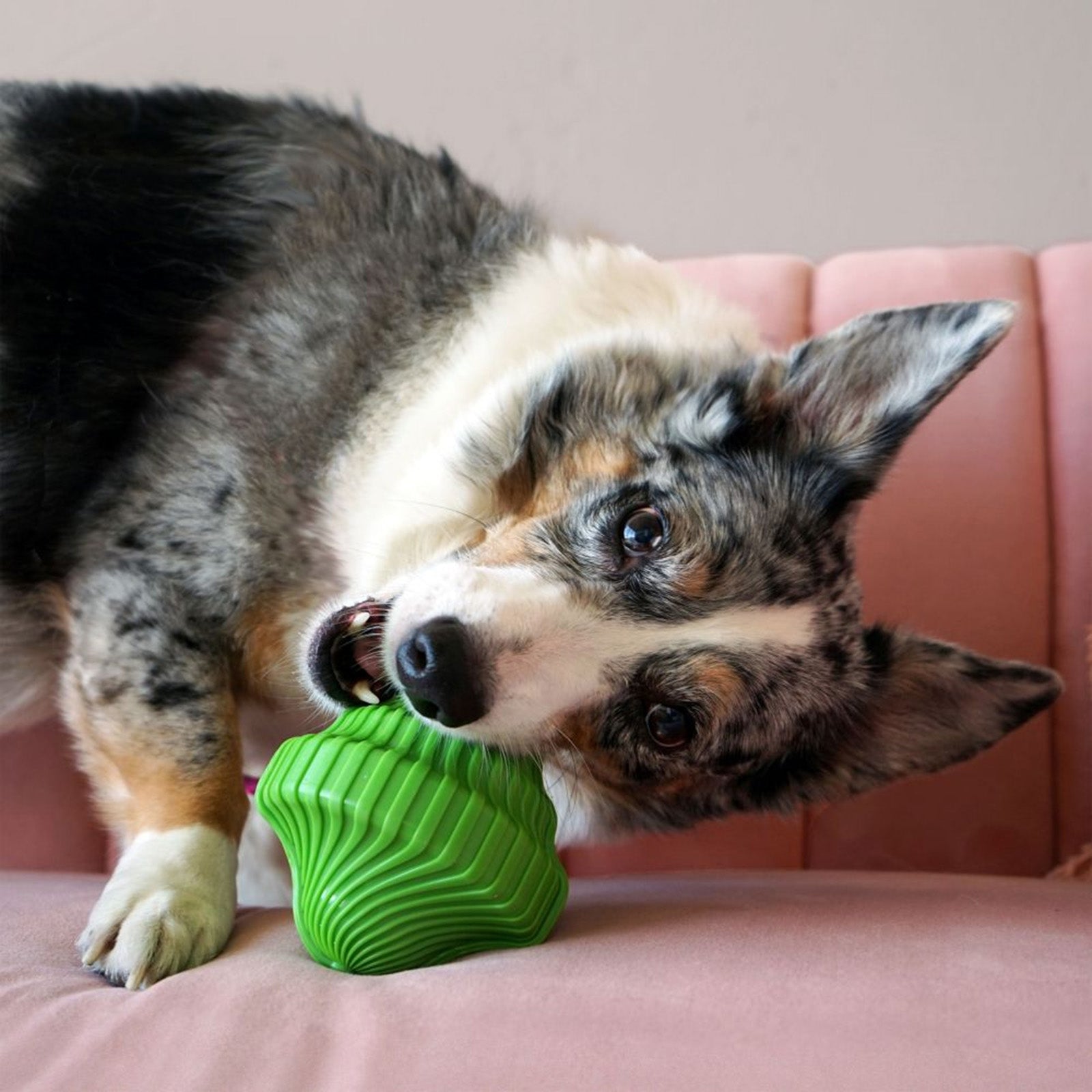 Kong Squeezz Orbitz Ball Small Medium