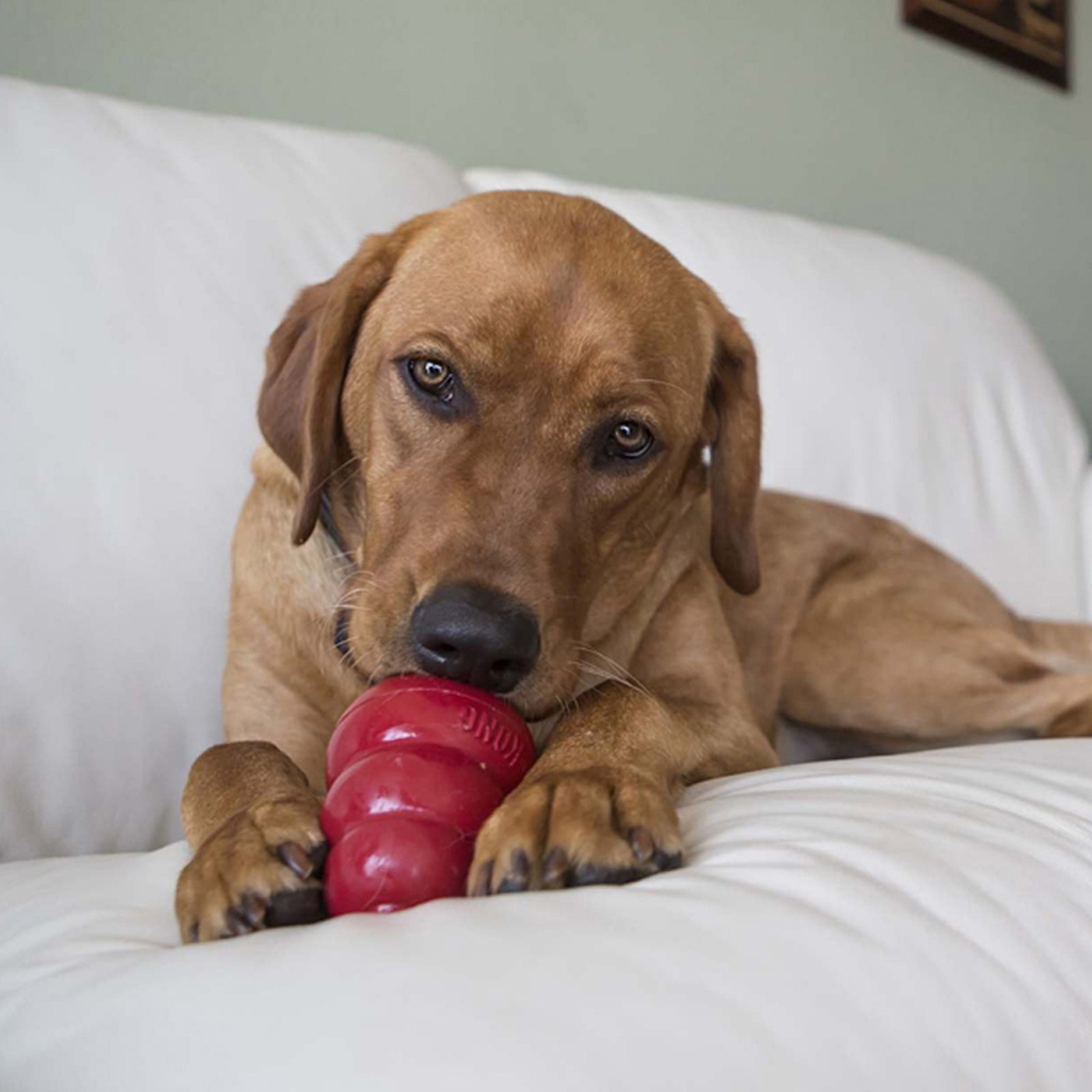 Kong Stuffn Treats Peanut Butter Large