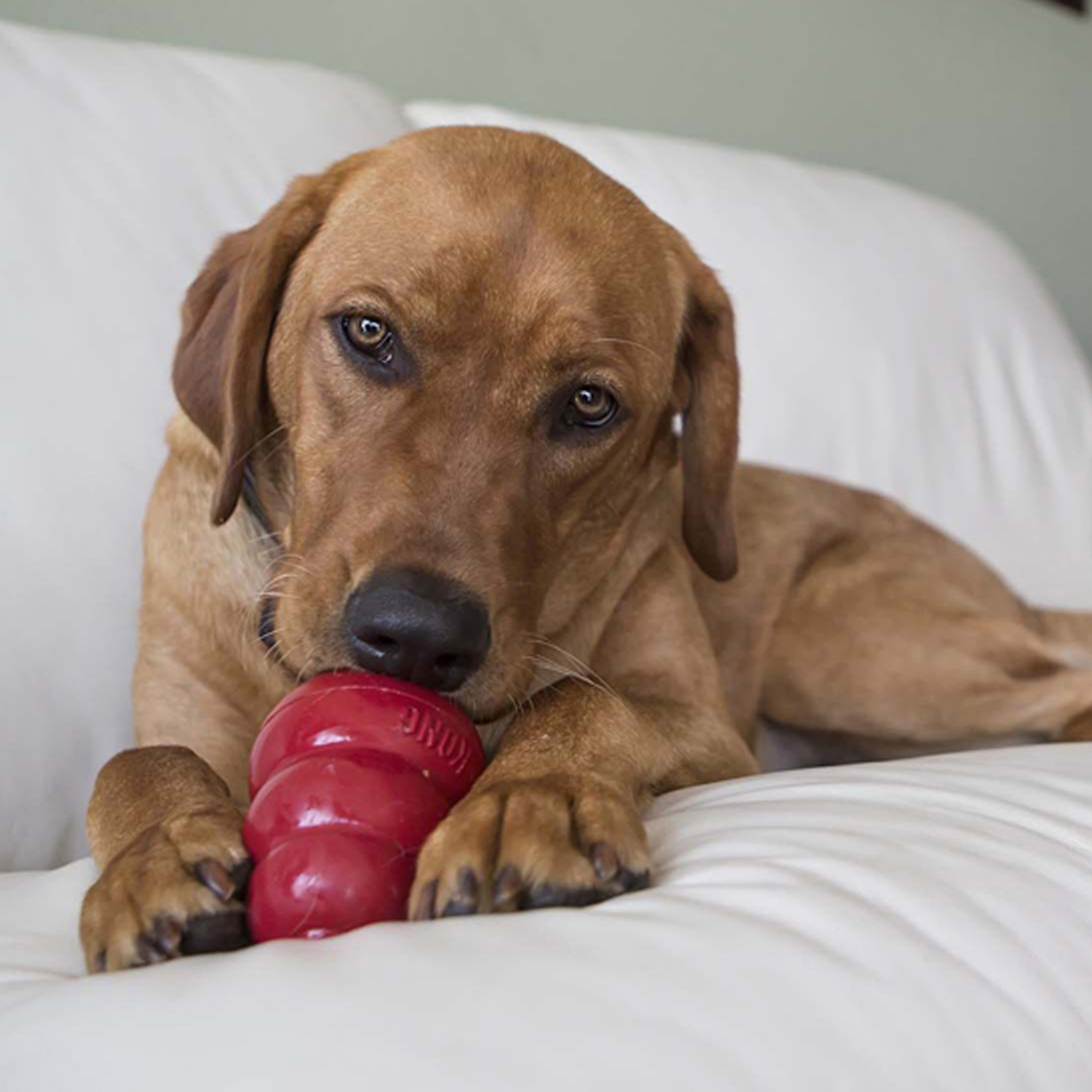 Kong Stuffn Treats Peanut Butter Small