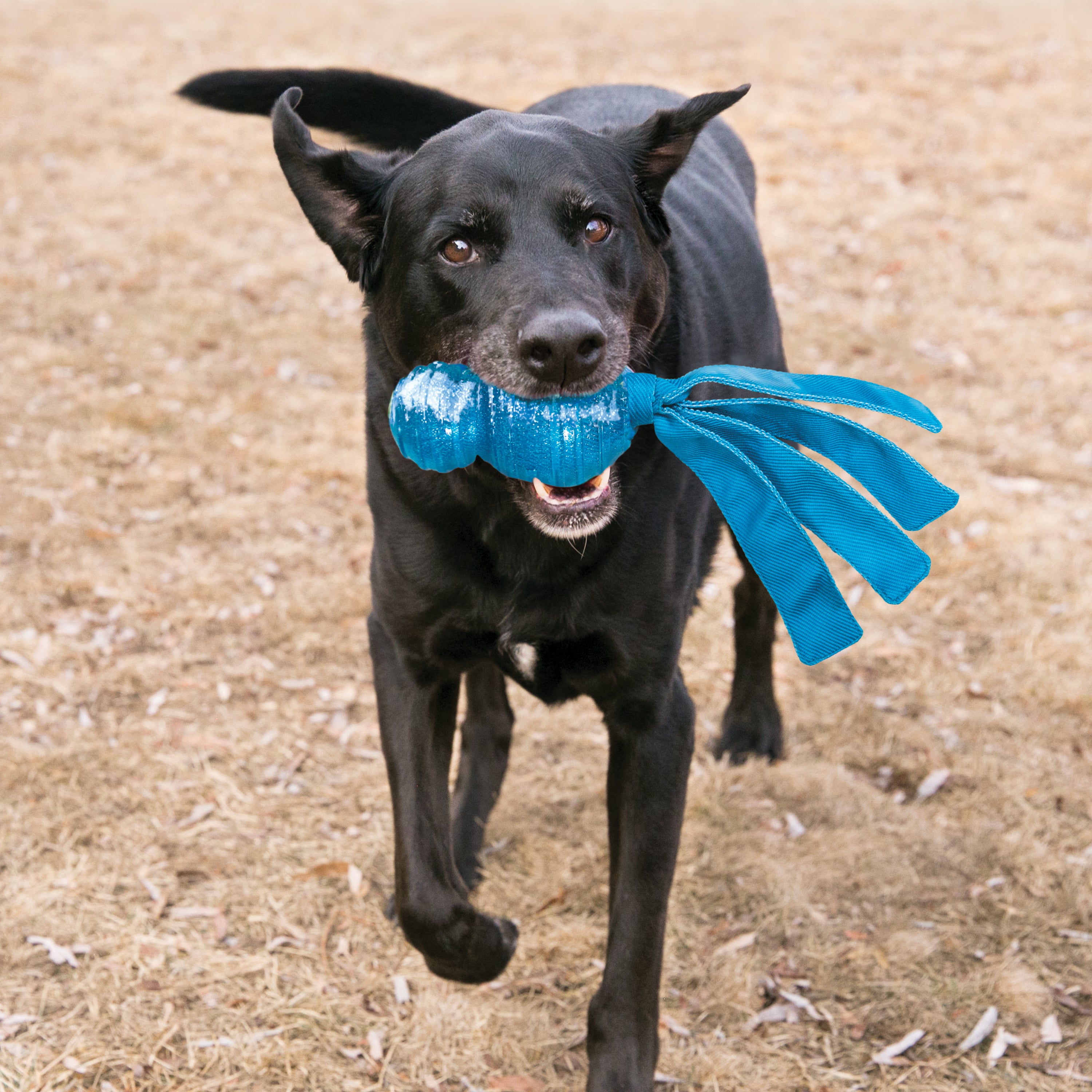 Kong Wubba Comet Large
