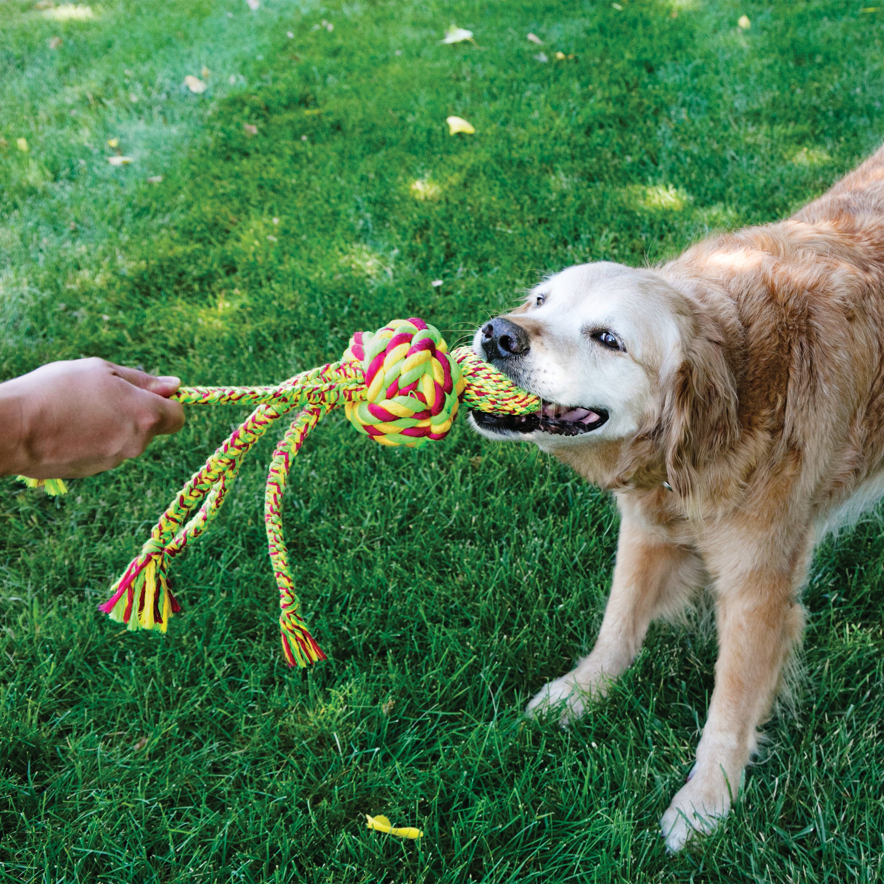 Kong Wubba Weaves W Rope Small