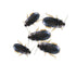 Live Woodies Large