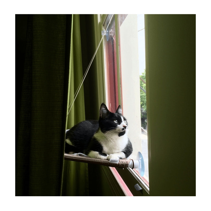 Lookout Cat Perch Deluxe