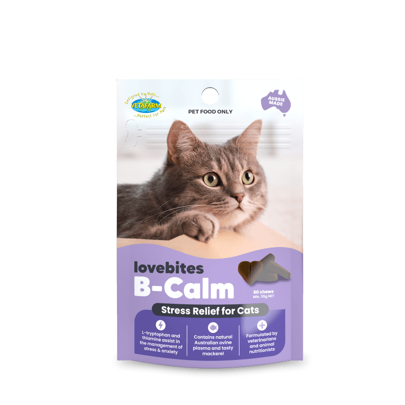 Lovebites B-Calm Cat