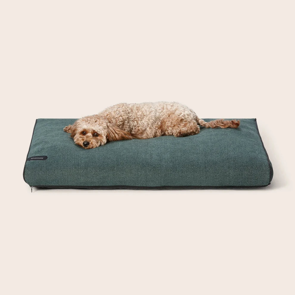 Modern Daybed Forestgreen