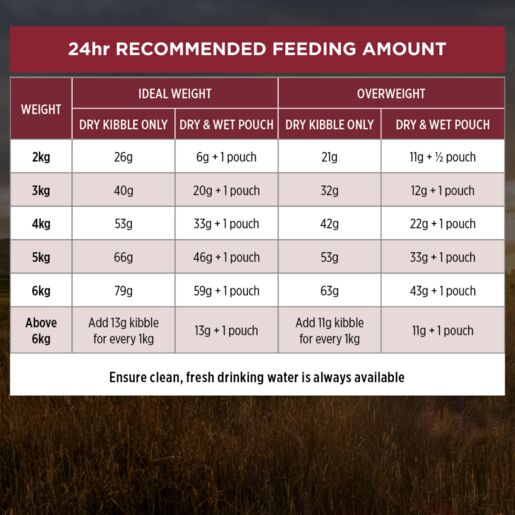 Pro Plan Adult Cat Salmon