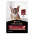 Pro Plan Adult Cat Salmon