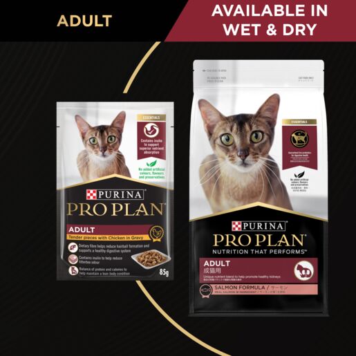 Pro Plan Adult Cat Salmon