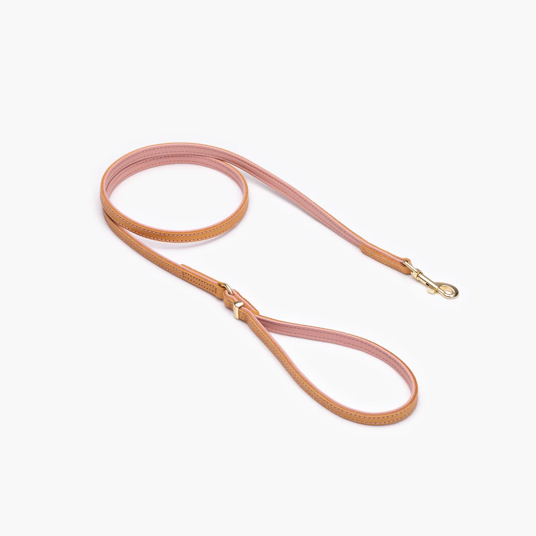 EzyDog Lead Oxford 42 Blush