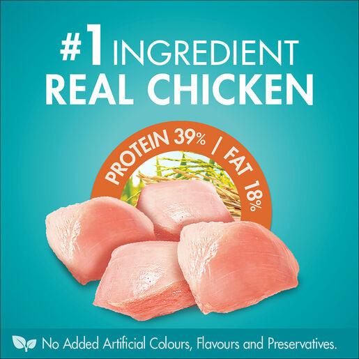 ONE Adult Dry Indoor Chicken 2.8KG